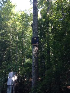 Bat Box Installation - Estate Wildlife Control