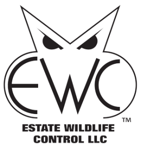 EWC Logo